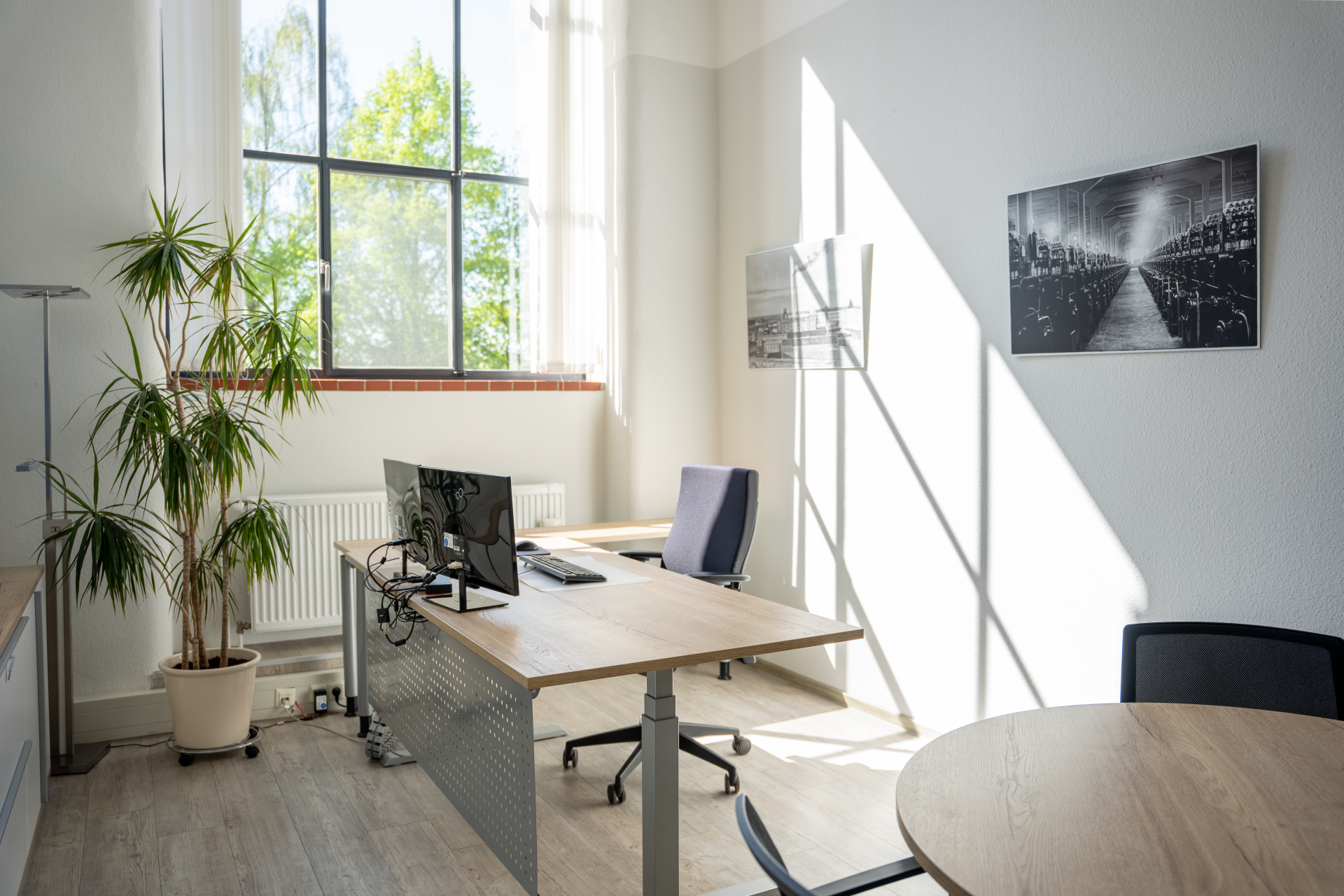 Eingerichtetes Büro mit Schreibtisch, Computerbildschirm und großem Fenster. Sonnenlicht fällt in den Raum, daneben steht eine große Zimmerpflanze.