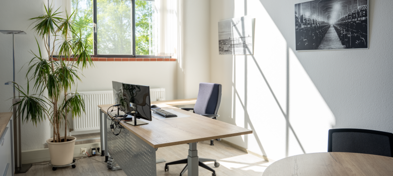 Modern eingerichtetes Büro mit Schreibtisch, Computerbildschirm und großem Fenster. Sonnenlicht fällt in den Raum, daneben steht eine große Zimmerpflanze.